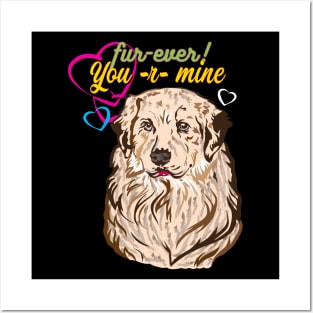 My Cool Labrador Retriever Design Posters and Art